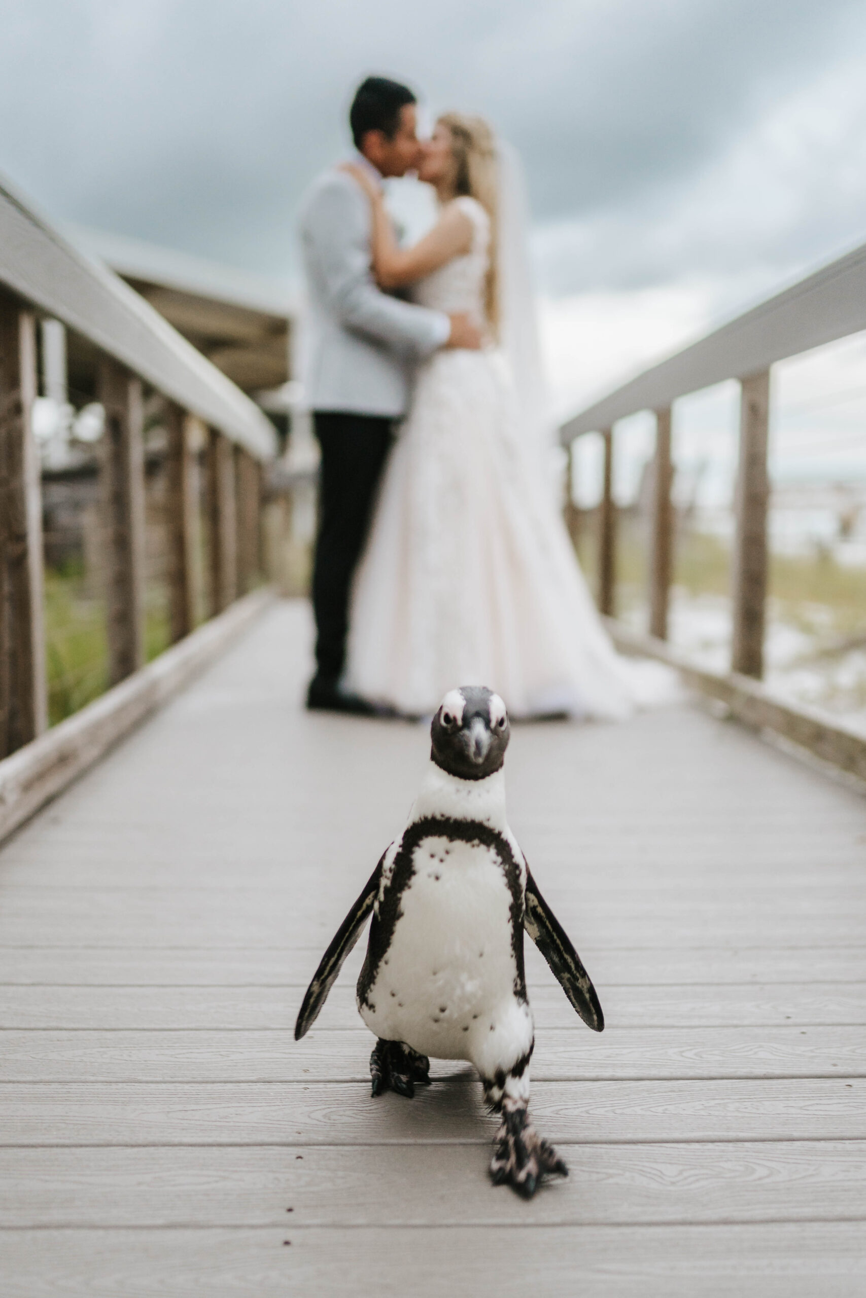 Gulfarium Couple with Penguin