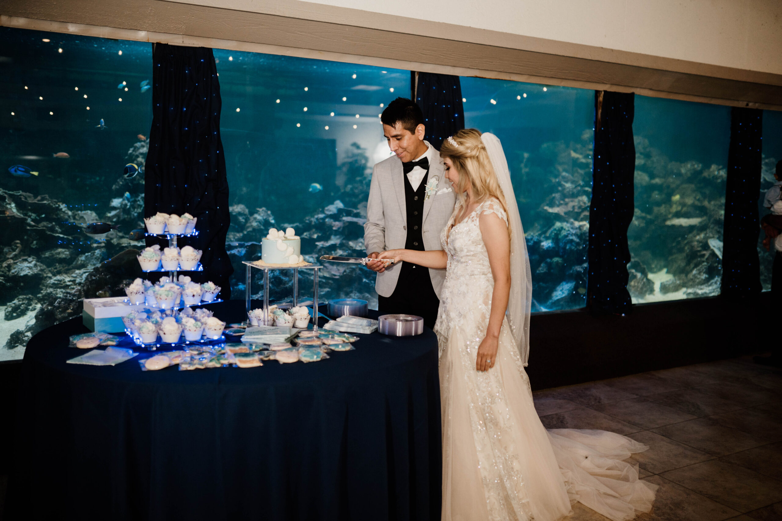gulfarium wedding couple cuts cake